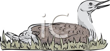 Bird Clipart