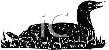 Bird Clipart