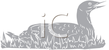 Bird Clipart