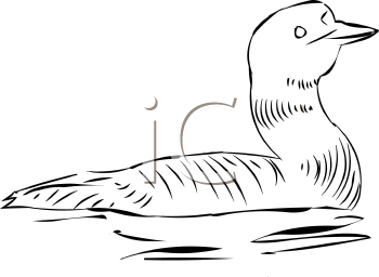 Bird Clipart