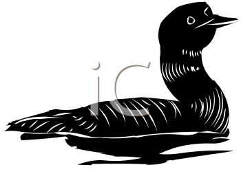 Bird Clipart