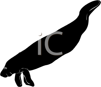 Aquatic Animals Clipart