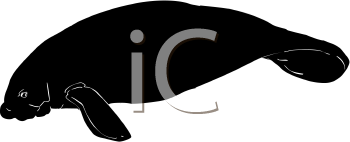 Aquatic Animals Clipart