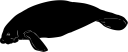 Aquatic Animals Clipart