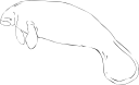 Aquatic Animals Clipart