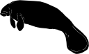 Aquatic Animals Clipart