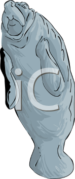 Aquatic Animals Clipart