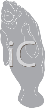 Aquatic Animals Clipart