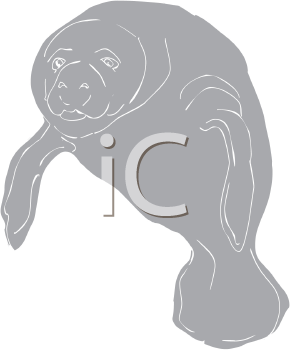 Aquatic Animals Clipart