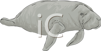Aquatic Animals Clipart