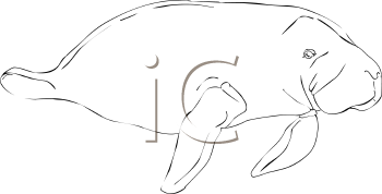 Aquatic Animals Clipart