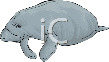 Aquatic Animals Clipart