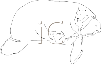 Aquatic Animals Clipart