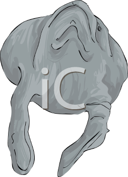 Aquatic Animals Clipart
