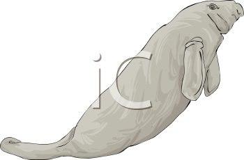 Aquatic Animals Clipart