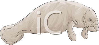 Aquatic Animals Clipart