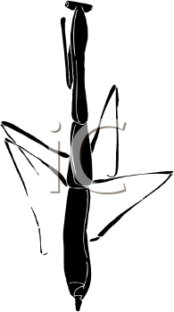 Insect Clipart