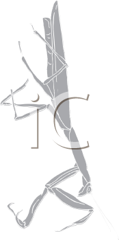 Insect Clipart