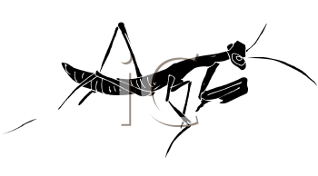 Insect Clipart