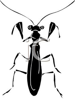 Insect Clipart