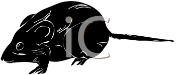 Rodent Clipart