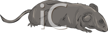 Rodent Clipart