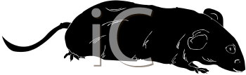 Rodent Clipart