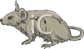 Rodent Clipart