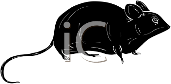 Rodent Clipart