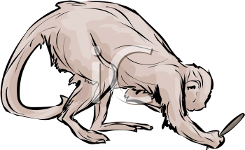Primate Clipart