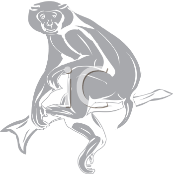 Primate Clipart
