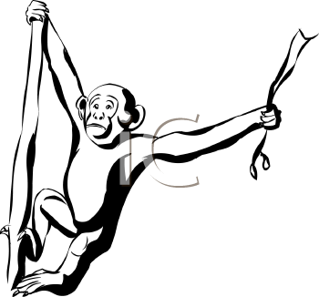 Primate Clipart