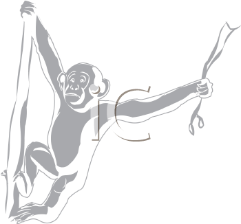 Primate Clipart