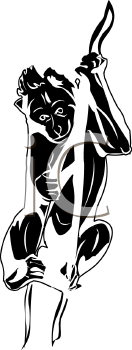 Primate Clipart