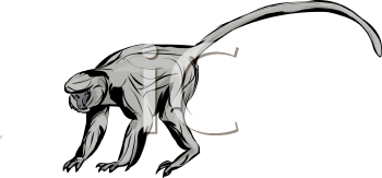 Primate Clipart