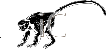 Primate Clipart