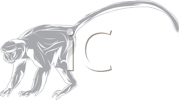 Primate Clipart