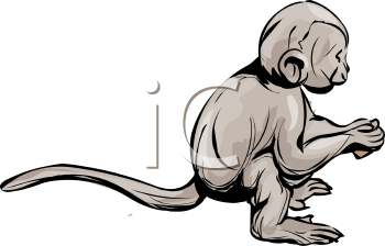 Primate Clipart