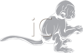 Primate Clipart