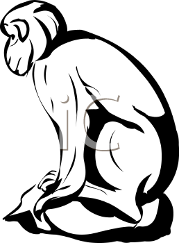 Primate Clipart