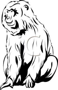 Primate Clipart