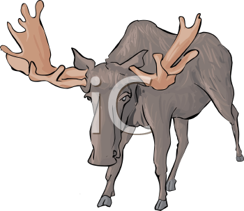 Deer Clipart