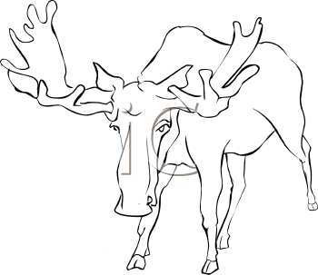 Deer Clipart