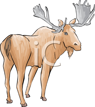Deer Clipart