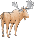 Deer Clipart