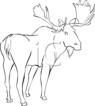 Deer Clipart