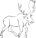 Deer Clipart