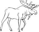 Deer Clipart