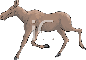 Deer Clipart