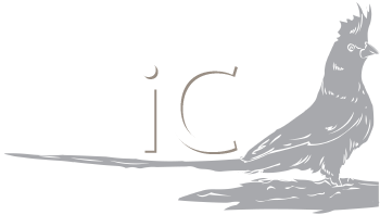 Bird Clipart